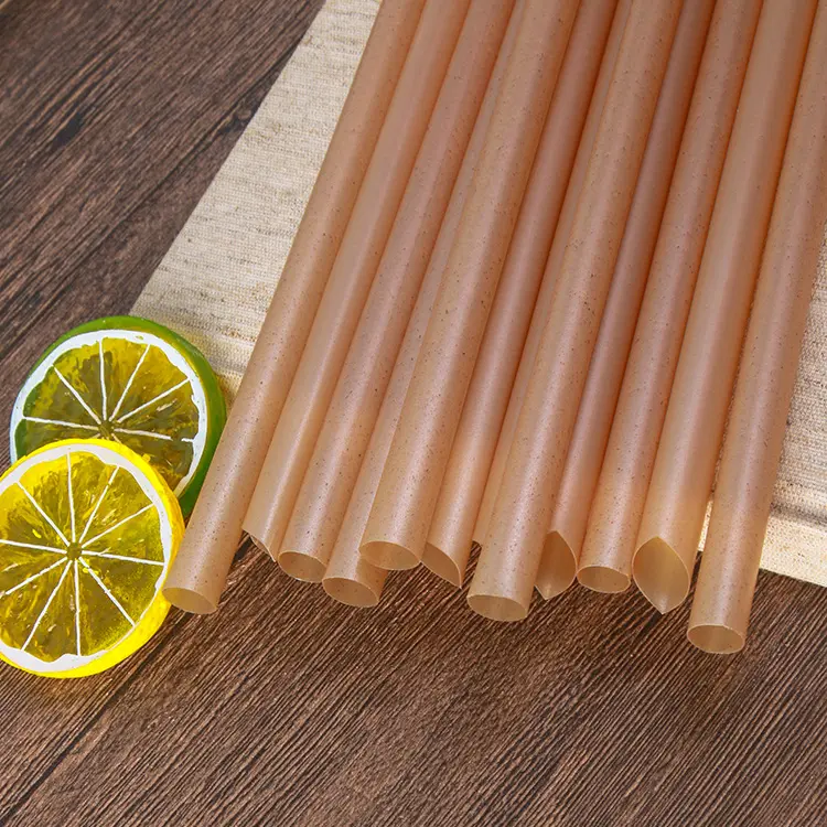 Biodegradable Natural Bagsasse Sugar Cane Straws - 图片 2